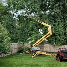 Best Lawn Mowing  in Yorkshire, VA