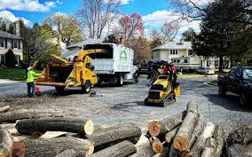 Lawn Drainage Solutions in Yorkshire, VA