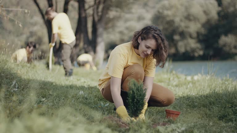 Soil Testing and Treatment in Yorkshire, VA