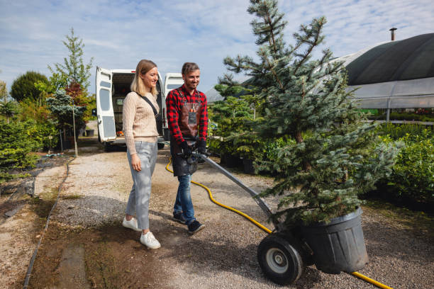 Best Pest Control for Lawns  in Yorkshire, VA